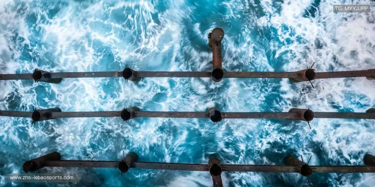 👟 个性定制，你的运动风格由我定义！